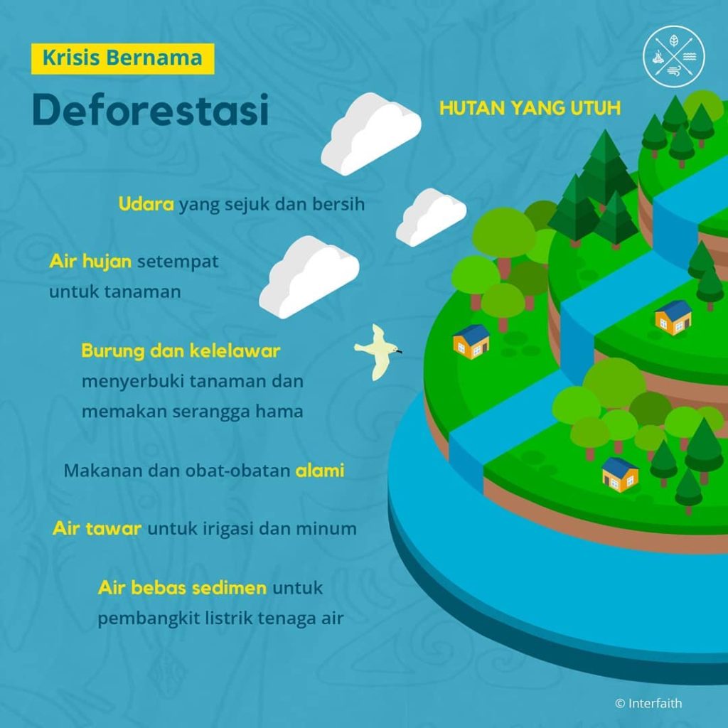 Deforestasi Hutan Papua