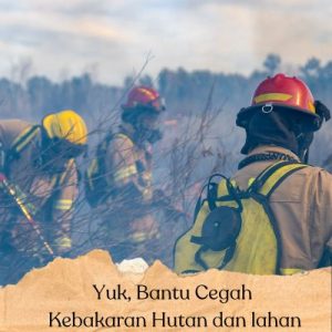 Cara Mencegah kebakaran Hutan